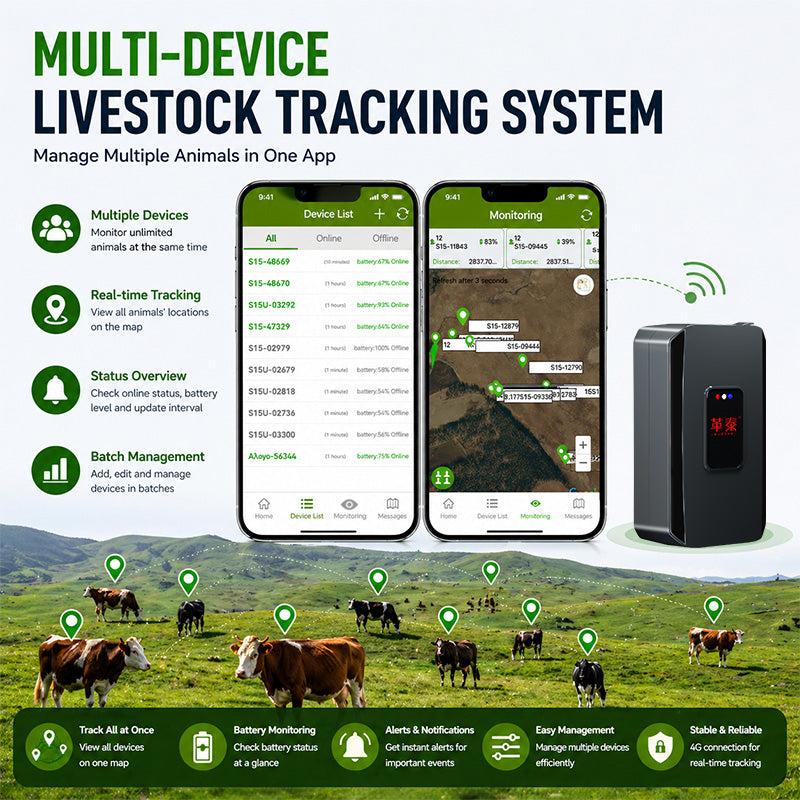 30000mAh Battery Rugged Cattle GPS Tracker With GPS BDS WIFI Multi Positioning