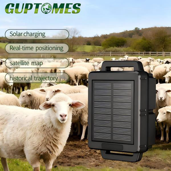 Compact Lightweight Sheep GPS Tracker 258g With Geo Fence And Vibration Alarm