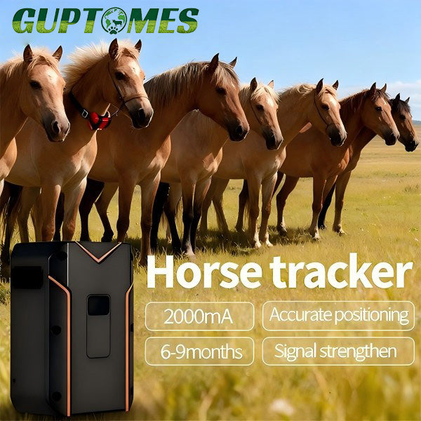 20000mAh Long Standby Horse GPS Tracker, Multi-Technology (BDS/WIFI/LBS/AGPS) For Horse