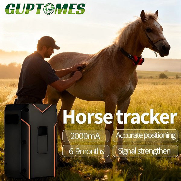 20000mAh Long Standby Horse GPS Tracker, Multi-Technology (BDS/WIFI/LBS/AGPS) For Horse